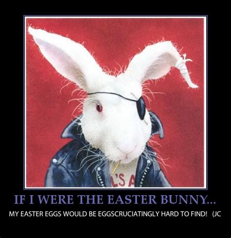 happy easter bunny pics funny easter day