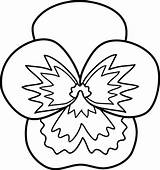 Pansy Pansies Sweetclipart sketch template