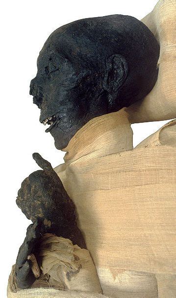 the royal mummies and portraits egypt mummy ancient