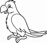 Coloring Pages Jungle Parrot Bird Animal Cartoon Animals Kids Choose Board Printable Super sketch template