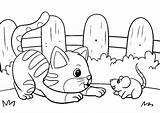 Tiere Katze Einfach Katzen Malvorlagen Bastelanleitung Basteln sketch template