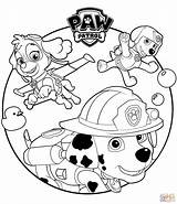 Patrol Paw Coloring Pages Från Sparad Måla Marshall sketch template