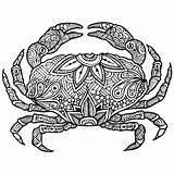 Crab Zentangle Coloring Pages Animal Choose Board Adult Drawings sketch template