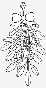 Mistletoe Ubisafe Nicepng sketch template