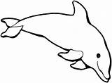 Dolphin Outline Jumping Coloring Advertisement Clip sketch template