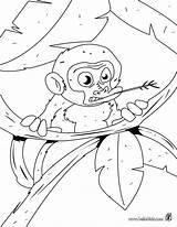 Monkey Coloring Baby Pages Tree Printable Animals Kids Jungle Color Hellokids Print Wild Sheets Animal Sock Cartoon sketch template