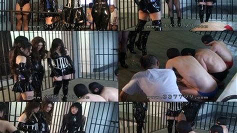 a group of dominatrix control pitiful prisoners full version high