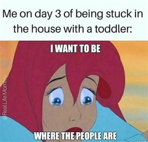 Hilarious Memes That Will Speak To You If You Re A Mom