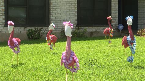 austin homeowner  front yard flamingos  emphasize importance