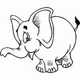 Planse Colorat Elefant sketch template