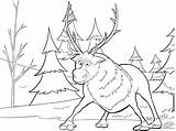 Coloring Pages Express Polar sketch template