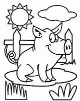 Coloring Crayola Porquinho Cerdito Ffa Baby Peppa Pigs Mcdonald Asustadizo Macdonald Velg Tavle sketch template