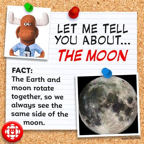 fun facts   moon explore awesome activities fun facts