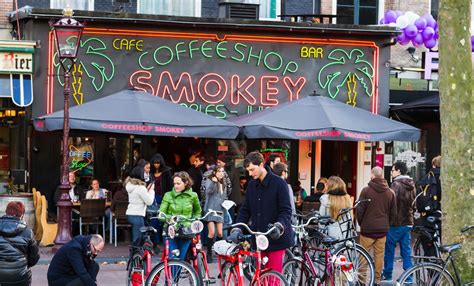 visiting amsterdam coffee shops babylon tours