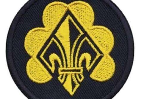Send You A German Scout Badge By Johny