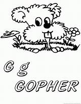 Gopher sketch template