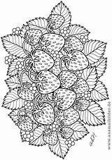 Fruit Erdbeeren Ausmalbilder Mandalas Adults Filipa sketch template