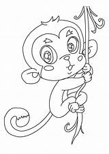 Singe Coloriage Mewarnai Affe Monyet Macaco Ausmalbilder Changos Anak Hellokids Tk Ausdrucken Ausmalbild Pintar Guenon Bébé Colorier Noix Yodibujo Mandala sketch template