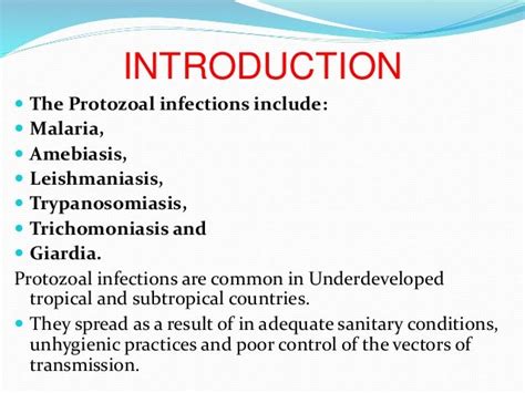 Drugs Used In Protozoal Infections Mr Panneh