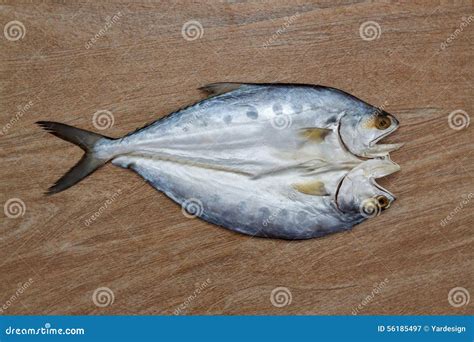 fresh fish cut  wooden background stock image image  meal