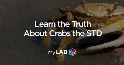 Learn The Truth About Crabs The Std At Home Std Test Std Testing