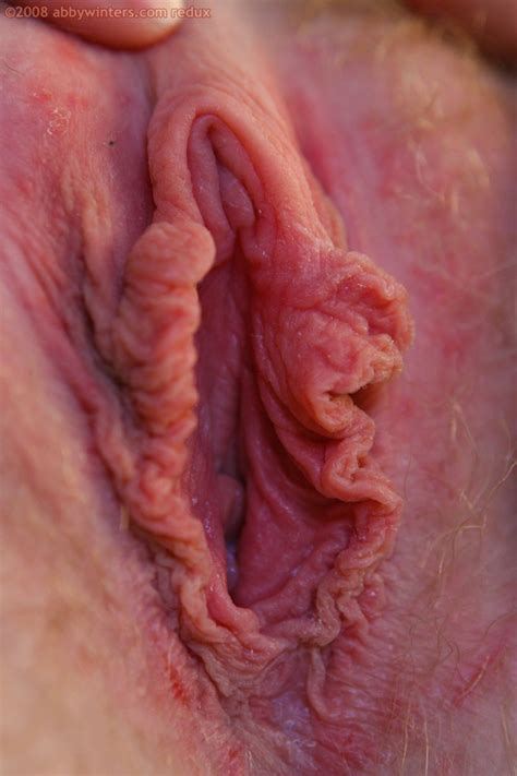 close up pictures of labia pussy pics and galleries