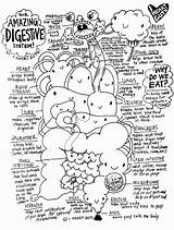 Digestive Anatomy Guts Physiology Biology Rectum Bones Organs Iheartguts Path Simply Preschoolers Endocrine Comic Template Koibana sketch template