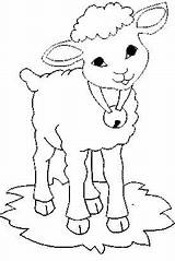 Colorat Disegni Sheep Mouton Schafe Pecora Colorare Coloring Planse Fattoria Oi Animale Cloche Plansa Miel Lamb Autour Desene Agnello Paste sketch template