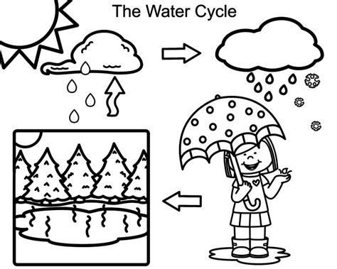 water cycle coloring page  getcoloringscom  printable