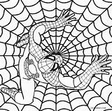Spiderman Coloring Pages Print sketch template