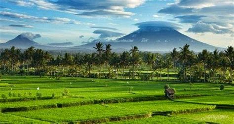 Desa Wisata Budaya Peliatan Ubud Gianyar Bali