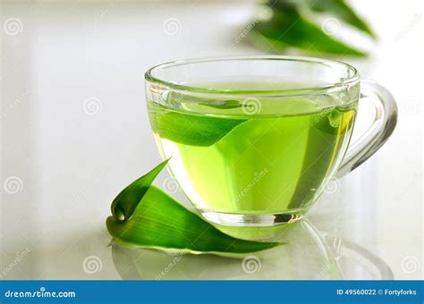 green spa tea stock photo image  relaxation care