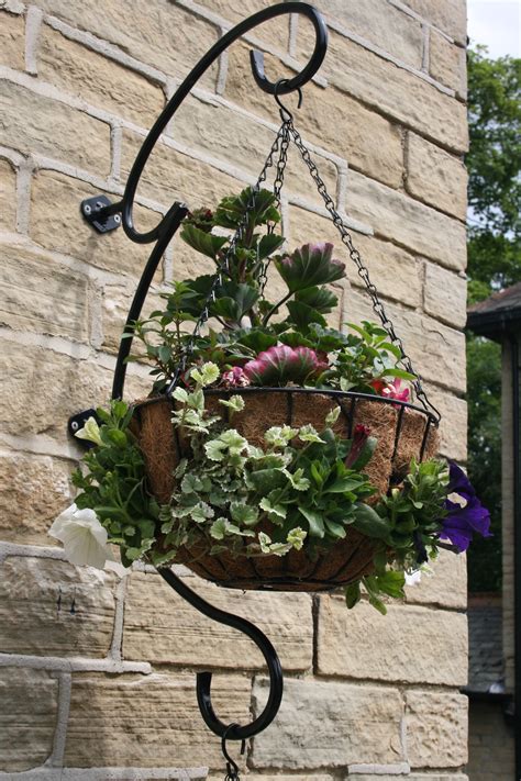 How To Plant Hanging Baskets Garden Features Ideas