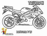 Daytona Yescoloring Kawasaki Foolin Tell Lưu Từ ã sketch template