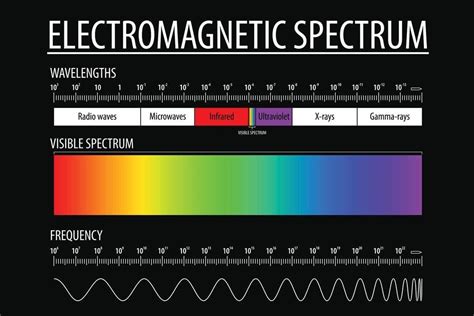 electromagnetic spectrum  visible light educational reference chart