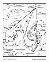 Shark Jaws Fearsome Activities Dinosaur Sharks sketch template