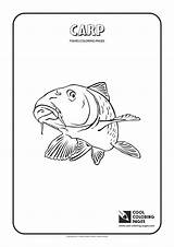 Carp Coloring Pages Cool Animals Kite Print Template sketch template