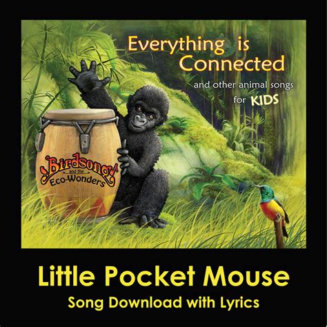 pocket mouse song lyrics