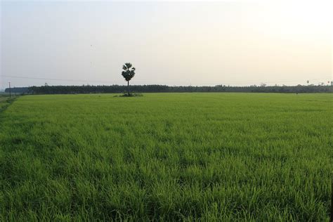 farming systems  india wikipedia