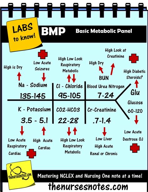 bmp chem fishbone diagram explaining labs   blood book theses