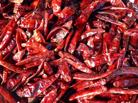 Birthplace Of The Domesticated Chili Pepper Identified In