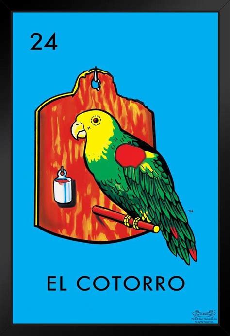 24 El Cortorro Parakeet Loteria Card Mexican Bingo Lottery