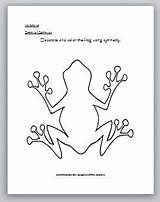 Symmetry Coloring Worksheets Frog Below Link Then Website Go Click sketch template