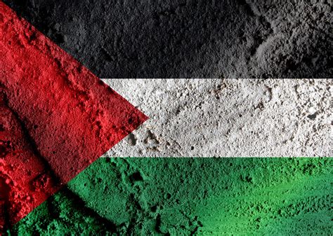 flag  palestine gaza strip flag themes  stock photo public domain pictures