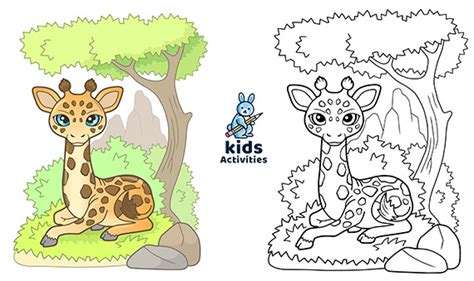 printable animal coloring pages  kids kids activities