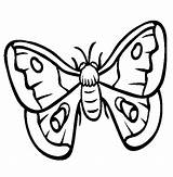 Moth Designlooter sketch template