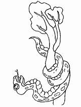 Serpenti Colorat Schlangen Animale Serpi Zmije Bojanke Serpents Cobras Crtež Zmija Deset Poinsettia Codes Planse Voturi Vizite Snakes Plansa Coloratutto sketch template
