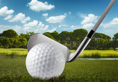 golfbal club en de golfcursus stock foto image  cursus buiten