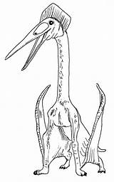Hatzegopteryx Sarcosuchus Titanoboa Pterosaur Huge sketch template