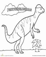 Pachycephalosaurus Education Coloring Color sketch template